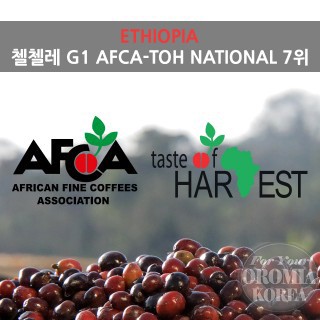 [에티오피아] 첼첼레 G1_TOH National 7위_ 아제브 (Natural)