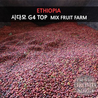 [에티오피아] 시다모 G4 TOP_Mix Fruit  Farm (Natural)