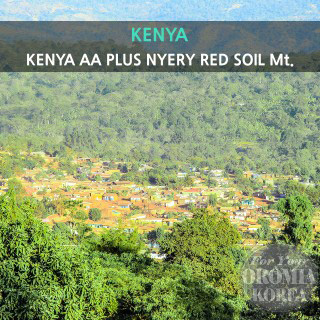 [케냐] 케냐 AA PLUS 니에리_Red Soil Mt.  (Washed)